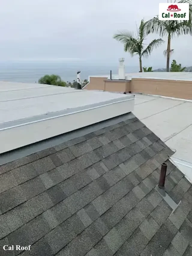 Rooftop with Ocean View and Palm Trees